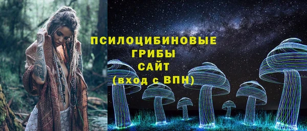хмурый Фурманов