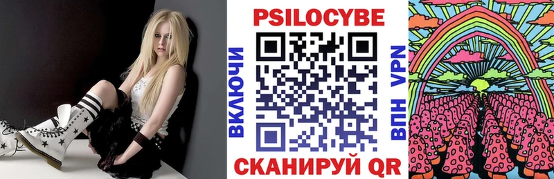 Псилоцибиновые грибы Psilocybe  Купить  Кемь 