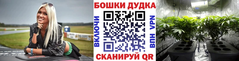 Купить закладки  Кемь  Шишки марихуана Ganja 
